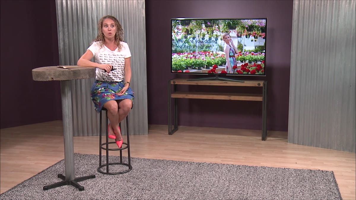 Presenter discussing rep program structure and what reps receive