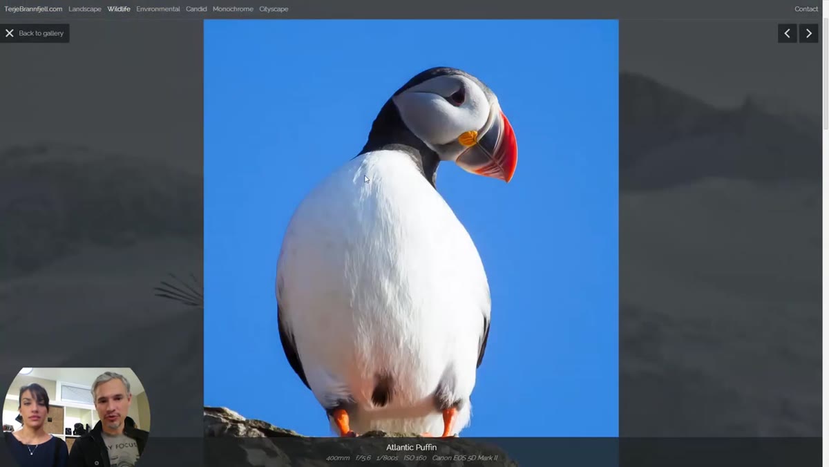 First wildlife image praised as the portfolio&rsquo;s best, placed correctly at the top