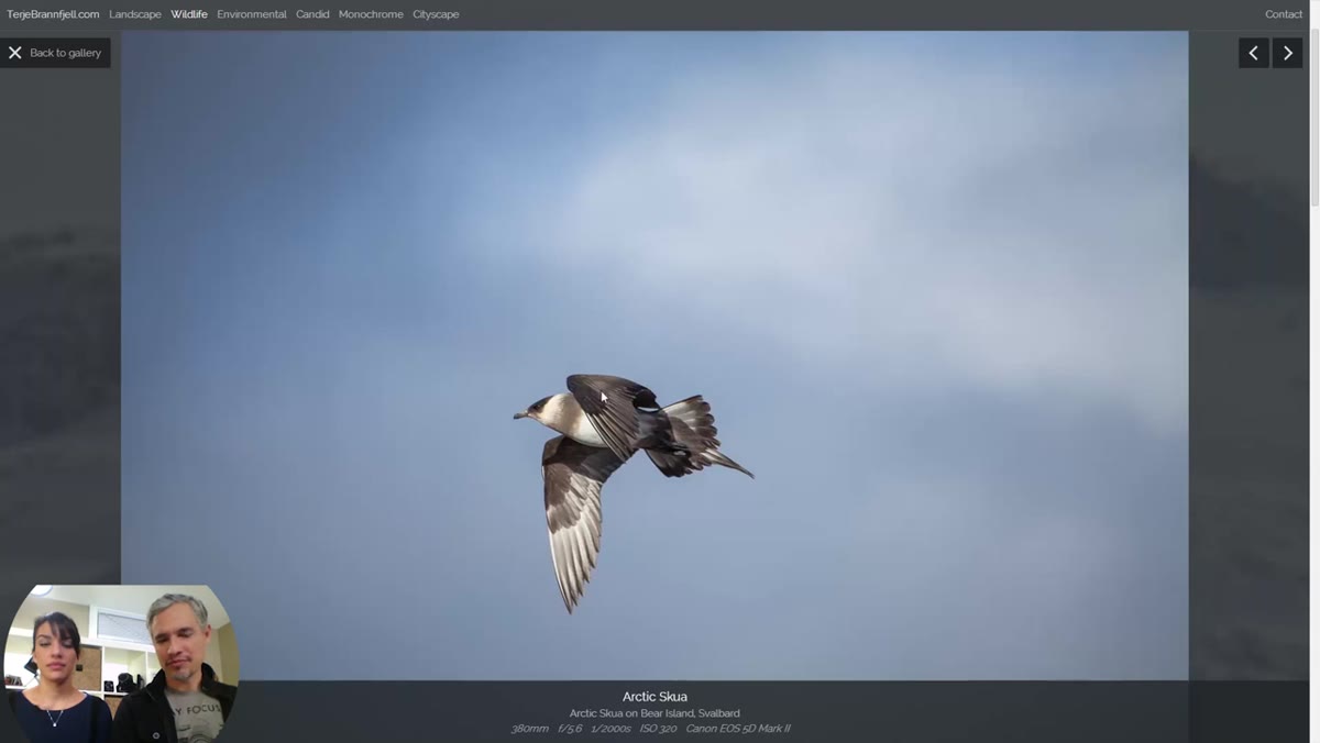 Tight critique of an image violating rule of space, needing a crop